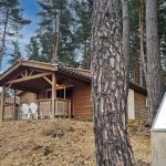 Chalet/Bungalow - Myrtille - USSON-EN-FOREZ - Loire