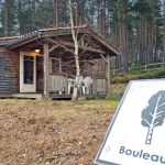 Chalet/Bungalow - Bouleau - USSON-EN-FOREZ - Loire