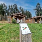 Chalet/Bungalow - Houx - USSON-EN-FOREZ - Loire