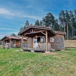 Chalet/Bungalow - Sapin - USSON-EN-FOREZ - Loire
