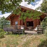 Chalet/Bungalow - Le Chalet des Papillons - SAINT-MARTIN-LA-SAUVETE - Loire